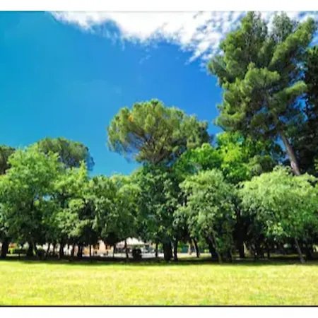 Raffaello Park Hotel Asís